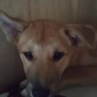 幸　ゆきちゃん