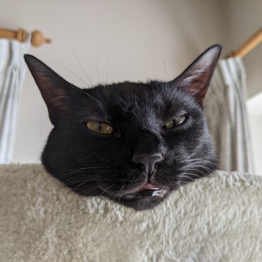 このポーズが好きなんです。