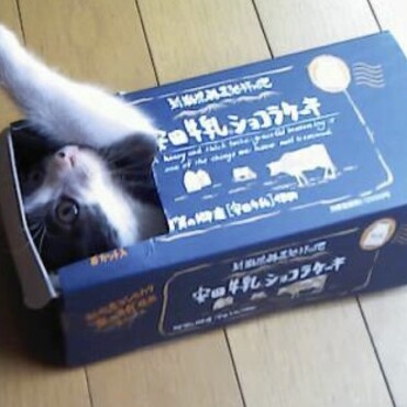 赤ちゃんの時