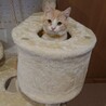の写真