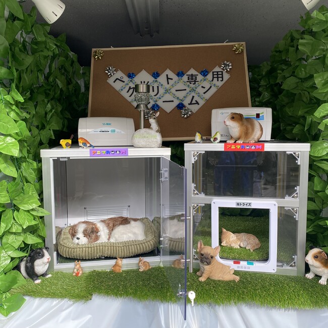 とらいずのカバー写真