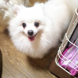 募集停止とさせて頂きます。