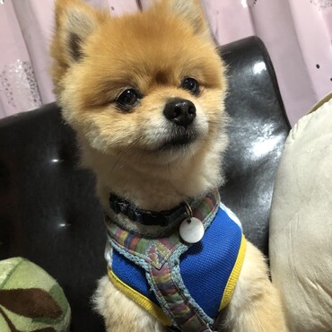 の写真