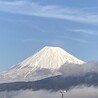 ぶるーたす