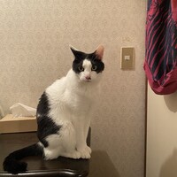 てん