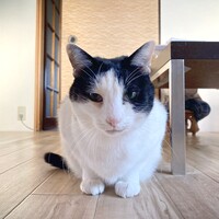 くう