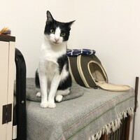 まる