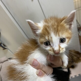 甘えん坊のノア君