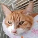 甘えん坊のまめくん