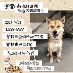 倉敷市保健所 収容犬猫譲渡会・見学会