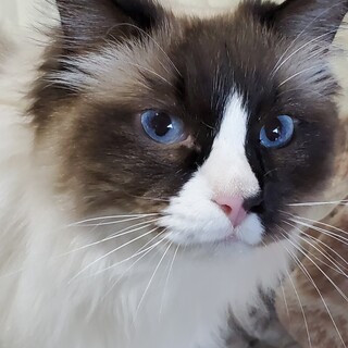 ありがとうございました