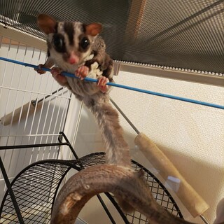 ！里親様募集中！