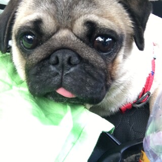 お優しいご家族に迎えていただきました