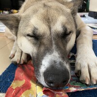 キング