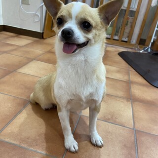 アピール下手なスーちゃん