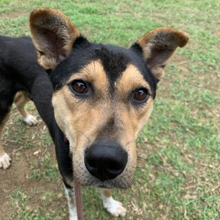 影千代　参上❗️