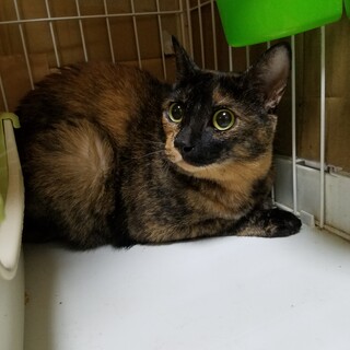 2匹で保護しました。