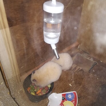 の写真
