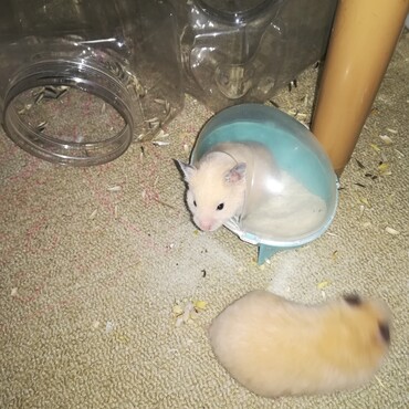 の写真