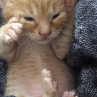 の写真