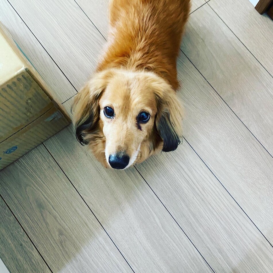 小次郎のカバー写真