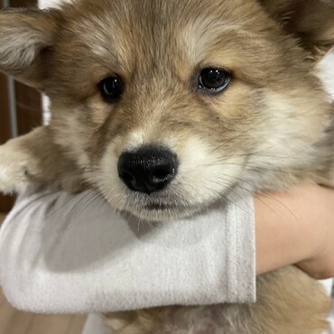 迎えたばかり…不安気