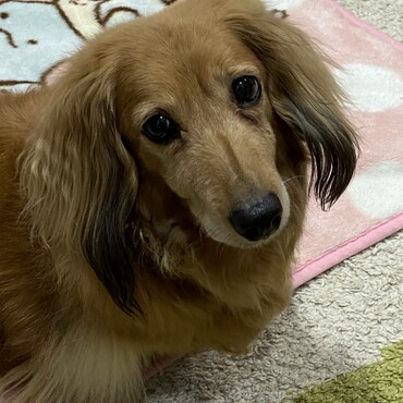 目ヤニついちゃった…