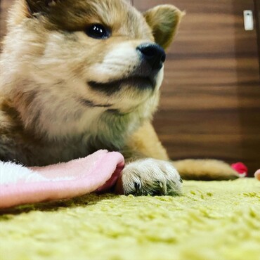 の写真