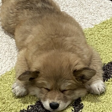 赤ちゃん^_^
