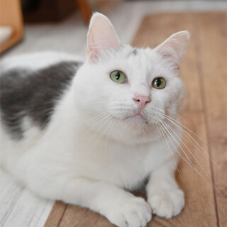 人が大好きなボク、ツルちゃんをよろしく(*^^*)