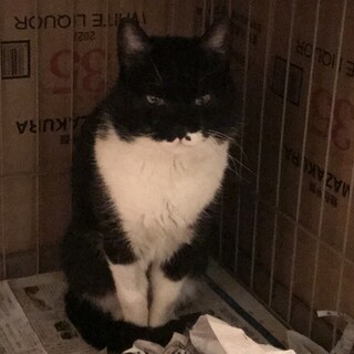 黒白ヘルメット君