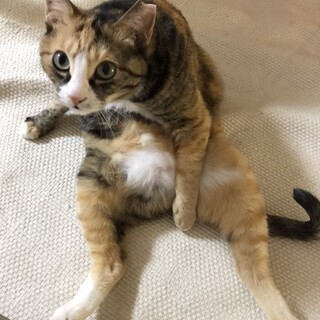 4才・お喋り上手なミャミャちゃん