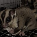 対応できなかった方々申し訳ございませんでした。