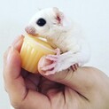 対応できなかった方々申し訳ございませんでした。