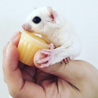 対応できなかった方々申し訳ございませんでした。