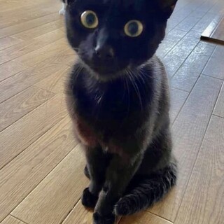 里親さま決まりました☆