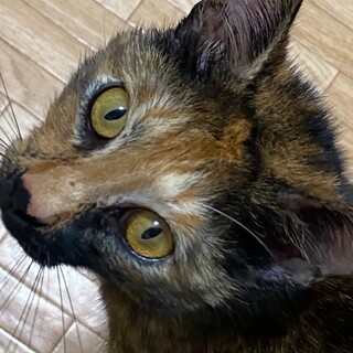 スリスリあまえんぼ♡のんちゃん