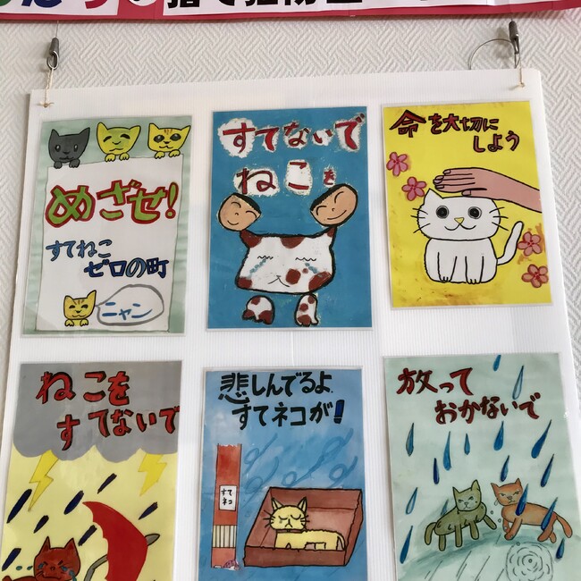 清水（個人ボランティア）のカバー写真