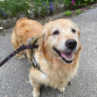 一命を取り留めた心に傷を持つようちゃんに愛の手を！