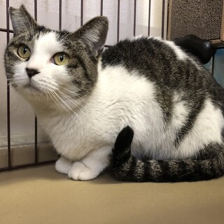 まん丸お顔の女の子みぃちゃん♡美形！