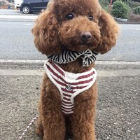浅川ROY