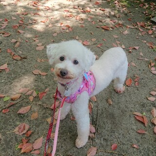 好奇心旺盛♪マイペースなみずきちゃん