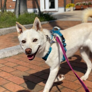 スタイル抜群！【ゴーダム】くん♪
