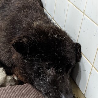 保健センターにおります。月曜日の朝までです。