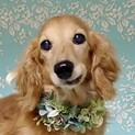 厚木（あつぎ）毎日楽しい♪穏やかルンルンBOY