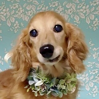 厚木（あつぎ）毎日楽しい♪穏やかルンルンBOY