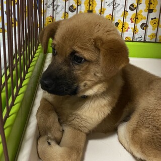 可愛い陽君の安心出来るお家を探しています