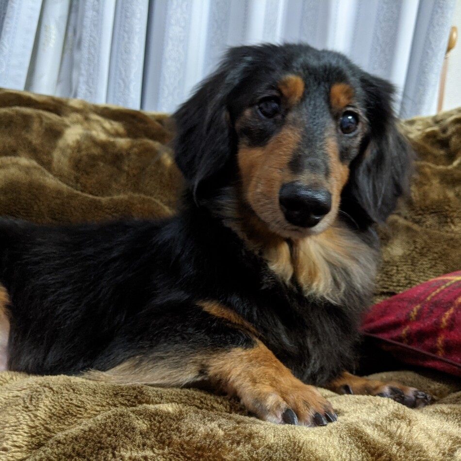 エブリィのカバー写真