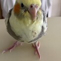 ありがとうございました！