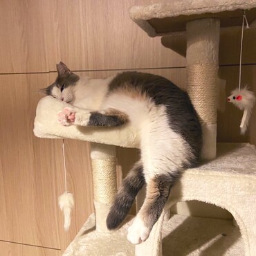 はみだしてますよ…